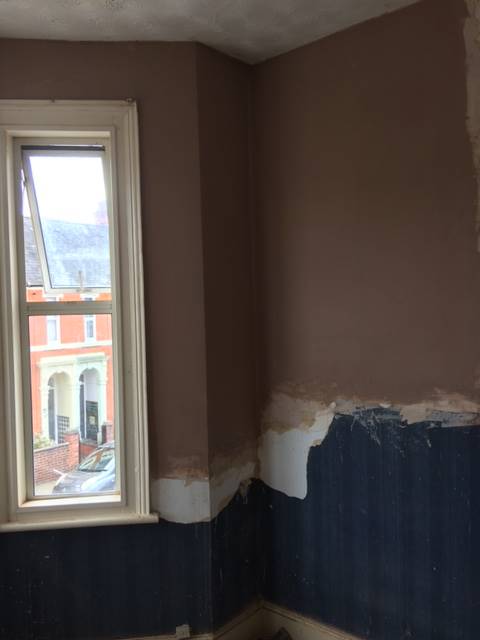 image of new plastering by JR40