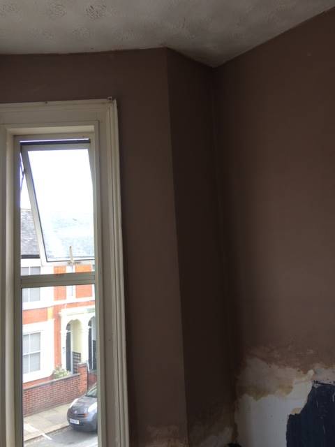 image of new plastering by JR40
